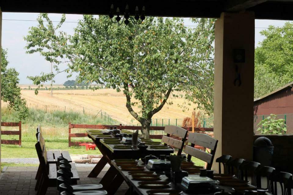 Vila Ranczo- Czarnocin Olszowa Exteriér fotografie